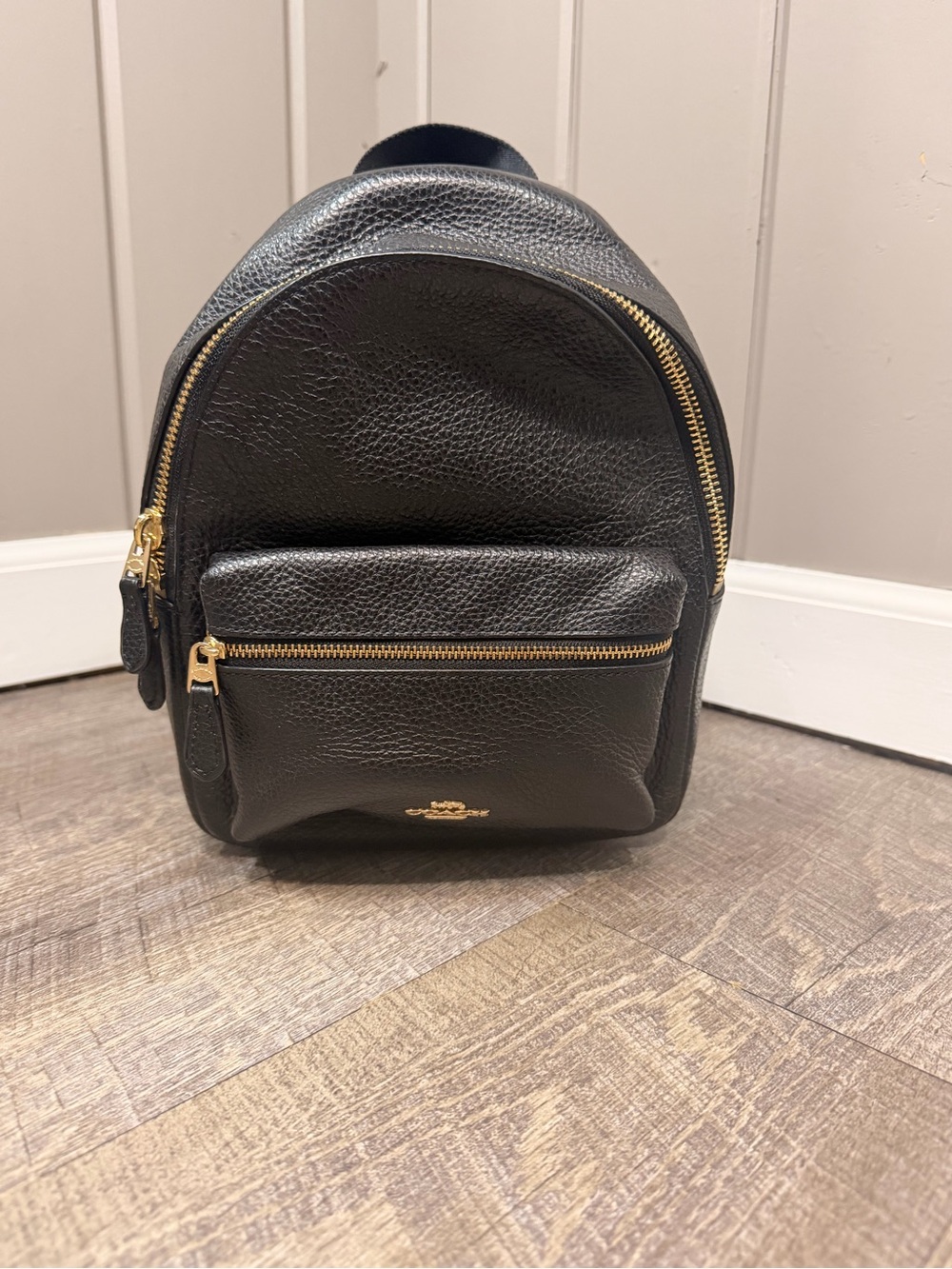Coach Black Pebbled Leather Mini Charlie Backpack with Gold-Tone Hardware F28995 - Picture 2 of 12
